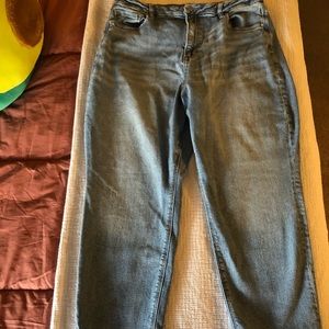 American Eagle Curvy Stretch Mom Jean